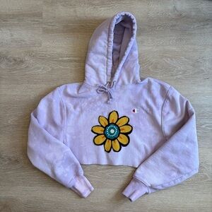 Champion Reverse Weave Upcycled Cropped Hoodie